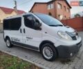 Белый Рено Трафик, объемом двигателя 2 л и пробегом 261 тыс. км за 8999 $, фото 11 на Automoto.ua