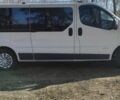 Белый Рено Трафик, объемом двигателя 2 л и пробегом 248 тыс. км за 9200 $, фото 45 на Automoto.ua