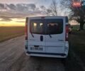 Белый Рено Трафик, объемом двигателя 2 л и пробегом 187 тыс. км за 14500 $, фото 22 на Automoto.ua