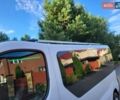 Белый Рено Трафик, объемом двигателя 2 л и пробегом 283 тыс. км за 14700 $, фото 35 на Automoto.ua