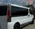 Белый Рено Трафик, объемом двигателя 2 л и пробегом 325 тыс. км за 15500 $, фото 8 на Automoto.ua