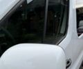 Білий Рено Трафік, об'ємом двигуна 1.6 л та пробігом 228 тис. км за 15950 $, фото 20 на Automoto.ua