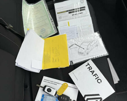 Белый Рено Трафик, объемом двигателя 2 л и пробегом 63 тыс. км за 32650 $, фото 107 на Automoto.ua