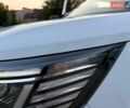 Білий Рено Трафік, об'ємом двигуна 2 л та пробігом 172 тис. км за 26900 $, фото 42 на Automoto.ua