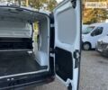 Рено Трафик груз-пасс., объемом двигателя 2 л и пробегом 240 тыс. км за 17999 $, фото 29 на Automoto.ua