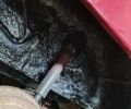 Рено Трафик, объемом двигателя 2.5 л и пробегом 360 тыс. км за 3150 $, фото 20 на Automoto.ua