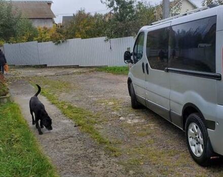 Серый Рено Трафик, объемом двигателя 2 л и пробегом 369 тыс. км за 9700 $, фото 13 на Automoto.ua