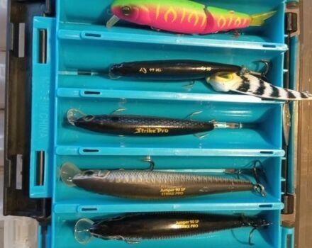 Білий Рено Зое, об'ємом двигуна 0 л та пробігом 153 тис. км за 500 $, фото 13 на Automoto.ua