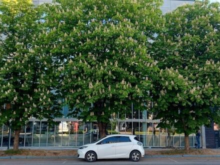 Білий Рено Зое, об'ємом двигуна 0 л та пробігом 77 тис. км за 11300 $, фото 1 на Automoto.ua