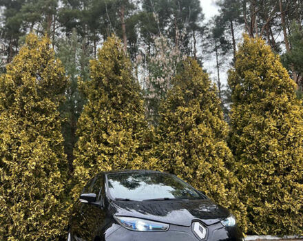 Рено Зое 2017 в Мостисках на Automoto.ua Черный Рено Зое, объемом двигателя 0 л и пробегом 205 тыс. км за 8000 $, фото 11 на Automoto.ua