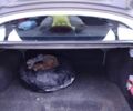 Серый Рено Clio Symbol, объемом двигателя 1.4 л и пробегом 3 тыс. км за 3029 $, фото 5 на Automoto.ua