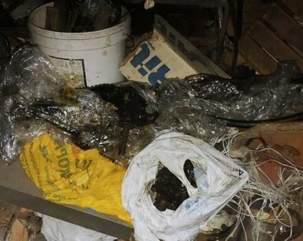 Зеленый Рено Scenic RX4, объемом двигателя 2 л и пробегом 400 тыс. км за 3000 $, фото 13 на Automoto.ua