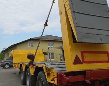Желтый Робуст Кайзер, объемом двигателя 0 л и пробегом 100 тыс. км за 15299 $, фото 3 на Automoto.ua