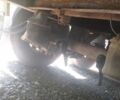 Робуст С, объемом двигателя 0 л и пробегом 10 тыс. км за 2500 $, фото 8 на Automoto.ua