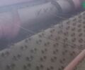 Ростсельмаш Дон 1500А, об'ємом двигуна 0 л та пробігом 0 тис. км за 9500 $, фото 7 на Automoto.ua