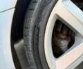 Сірий Сеат Ексео, об'ємом двигуна 1.97 л та пробігом 328 тис. км за 5600 $, фото 12 на Automoto.ua