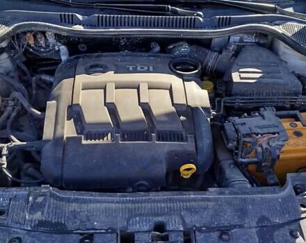 Белый Сеат Ибица, объемом двигателя 1.2 л и пробегом 238 тыс. км за 5000 $, фото 7 на Automoto.ua