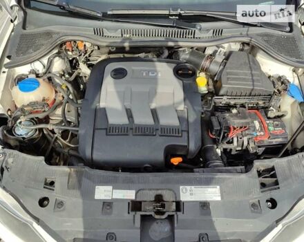 Сеат Ибица, объемом двигателя 1.2 л и пробегом 263 тыс. км за 5000 $, фото 37 на Automoto.ua
