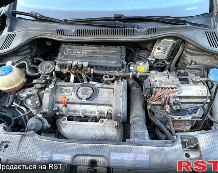 Сеат Ибица 2009 в Запорожье на Automoto.ua Серый Сеат Ибица, объемом двигателя 1.6 л и пробегом 221 тыс. км за 5500 $, фото 7 на Automoto.ua