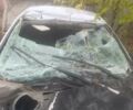 Сірий Сеат Ibiza, об'ємом двигуна 1.4 л та пробігом 195 тис. км за 1000 $, фото 1 на Automoto.ua