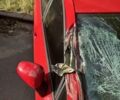 Красный Сеат Леон, объемом двигателя 2 л и пробегом 300 тыс. км за 2900 $, фото 7 на Automoto.ua