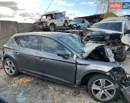 Сеат Леон 2015 в Киеве на Automoto.ua Серый Сеат Леон, объемом двигателя 2 л и пробегом 180 тыс. км за 1999 $, фото 1 на Automoto.ua