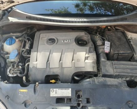 Белый Сеат Altea XL, объемом двигателя 1.6 л и пробегом 240 тыс. км за 7200 $, фото 3 на Automoto.ua