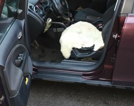 Красный Сеат Altea XL, объемом двигателя 2 л и пробегом 360 тыс. км за 5500 $, фото 7 на Automoto.ua