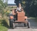 Красный Самодельный Самодельный, объемом двигателя 500 л и пробегом 1000 тыс. км за 291 $, фото 1 на Automoto.ua