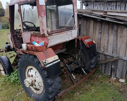 Саморобний Саморобний 1999 у Любешів на Automoto.ua Червоний Саморобний Саморобний, об'ємом двигуна 0 л та пробігом 36 тис. км за 966 $, фото 3 на Automoto.ua