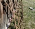 Самодельный Самодельный, объемом двигателя 0 л и пробегом 0 тыс. км за 73 $, фото 1 на Automoto.ua