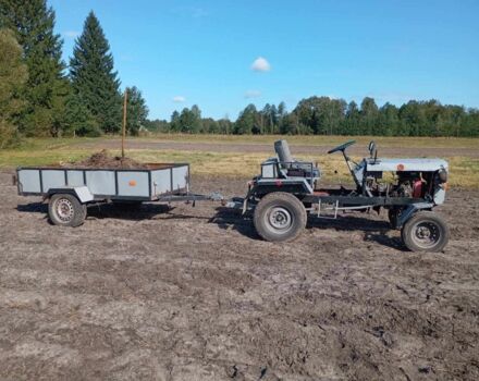 Сірий Саморобний Саморобний, об'ємом двигуна 0 л та пробігом 10 тис. км за 1538 $, фото 8 на Automoto.ua