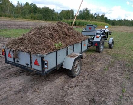 Сірий Саморобний Саморобний, об'ємом двигуна 0 л та пробігом 10 тис. км за 1538 $, фото 3 на Automoto.ua