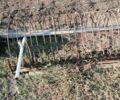 Зеленый Самодельный Самодельный, объемом двигателя 0 л и пробегом 10 тыс. км за 2306 $, фото 6 на Automoto.ua