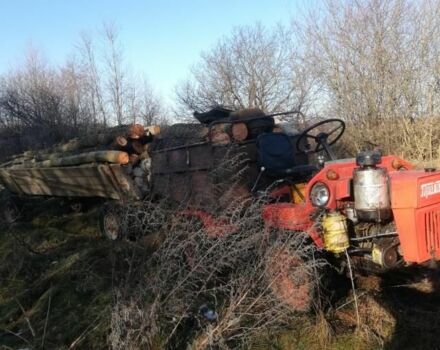 Самодельный Другая, объемом двигателя 0 л и пробегом 147 тыс. км за 2835 $, фото 2 на Automoto.ua