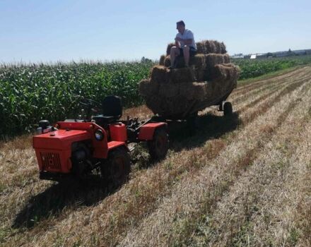 Самодельный Другая, объемом двигателя 0 л и пробегом 147 тыс. км за 2835 $, фото 9 на Automoto.ua