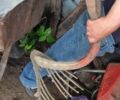 Самодельный Другая, объемом двигателя 0 л и пробегом 1000 тыс. км за 727 $, фото 4 на Automoto.ua