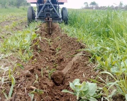 Самодельный Другая, объемом двигателя 0 л и пробегом 15 тыс. км за 573 $, фото 1 на Automoto.ua