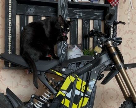 Самодельный Другая, объемом двигателя 0.3 л и пробегом 0 тыс. км за 4317 $, фото 3 на Automoto.ua