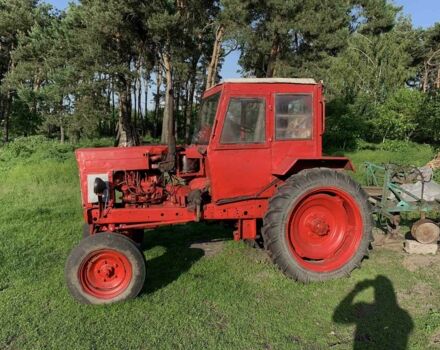 Саморобний Інша, об'ємом двигуна 0 л та пробігом 0 тис. км за 2000 $, фото 4 на Automoto.ua