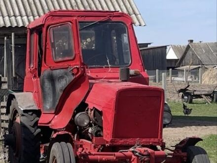 Саморобний Інша, об'ємом двигуна 0 л та пробігом 0 тис. км за 1898 $, фото 1 на Automoto.ua
