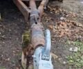 Синий Самодельный Самодельный прицеп, объемом двигателя 0 л и пробегом 0 тыс. км за 385 $, фото 16 на Automoto.ua