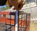 Самодельный Саморобний причіп, объемом двигателя 0 л и пробегом 0 тыс. км за 604 $, фото 6 на Automoto.ua