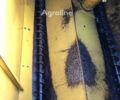 Бежевий Сампо Другая, об'ємом двигуна 0 л та пробігом 0 тис. км за 24219 $, фото 51 на Automoto.ua