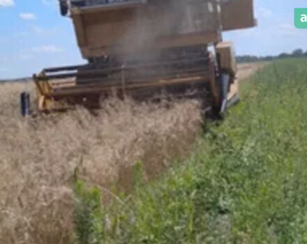 Сампо Rosenlew 600, объемом двигателя 0 л и пробегом 0 тыс. км за 11900 $, фото 4 на Automoto.ua