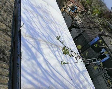 Самро RE 1999 в Белозерке на Automoto.ua Красный Самро RE, объемом двигателя 0 л и пробегом 10 тыс. км за 5000 $, фото 3 на Automoto.ua