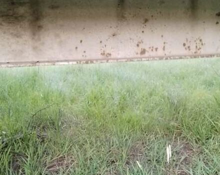 Самро C, объемом двигателя 0 л и пробегом 0 тыс. км за 1400 $, фото 3 на Automoto.ua