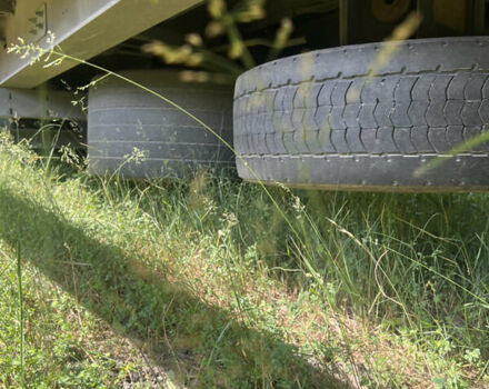 Шмитц Каргобулл Cargobull 2013 в Тячеве на Automoto.ua Шмитц Каргобулл Cargobull, объемом двигателя 0 л и пробегом 100 тыс. км за 12300 $, фото 6 на Automoto.ua