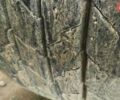 Синий Шмитц Каргобулл SCF, объемом двигателя 0 л и пробегом 0 тыс. км за 5500 $, фото 5 на Automoto.ua