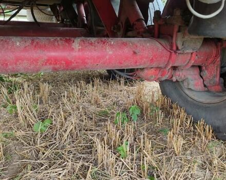 Красный Шмитц Каргобулл SKI, объемом двигателя 0 л и пробегом 100 тыс. км за 15000 $, фото 21 на Automoto.ua